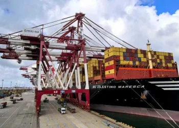 Qingdao: MSC and Shandong Port inaugurate a new “container yard” and exceed 3 million TEU