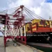 Qingdao: MSC and Shandong Port inaugurate a new “container yard” and exceed 3 million TEU
