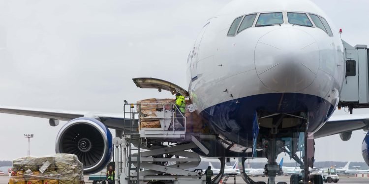 Global air freight increases by 5.5%: Africa and Asia drive the rise, America remains slower