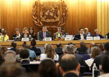 IMO Net Zero Framework: In Asia, leaders anticipate a longer delay than announced