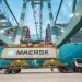Maersk announces new tariff measures in response to port congestion in North Africa