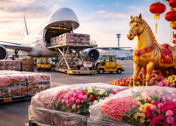 Airfreight: Demand strengthens before Chinese New Year, driven by early shipments