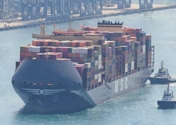 “Blank sailings” explode: shipowners anticipate a post-Chinese New Year slump