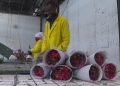 KENYA’S FLOWER EXPORTS FEEL THE STRAIN OF IRAN CONFLICT