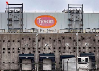 Reefer Cargo Gridlock Builds as Middle East Conflict Disrupts Gulf Trade