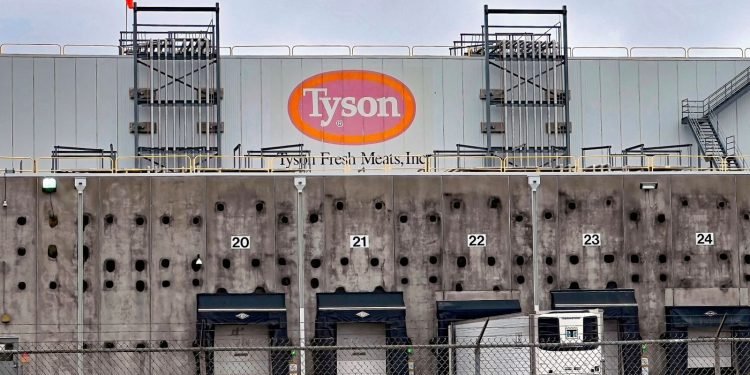 Reefer Cargo Gridlock Builds as Middle East Conflict Disrupts Gulf Trade