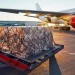 Air cargo demand remains firm in February as Middle East tensions threaten a sharper rate spike