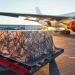 Middle East conflict disrupts majority of forwarders as costs escalate