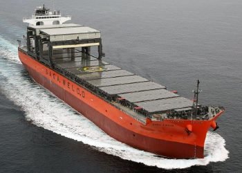 NYK to take full control of Saga Welco