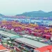 ONE expands terminal footprint in Busan ahead of major network realignment