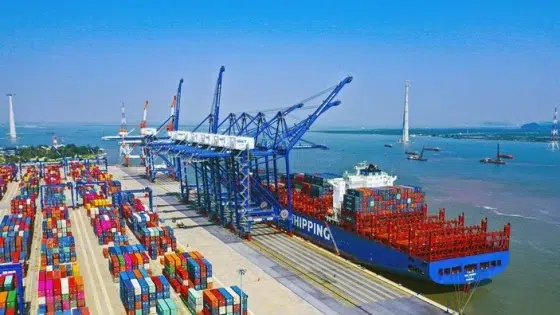 APM Terminals Deepens Vietnam Expansion with 49% Stake in Haiphong’s HHIT