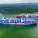 Cosco Shipping grows volumes despite revenue pressure in softer rate environment