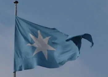 MAERSK SHAREHOLDERS FAIL TO WIN VOTE ON ISRAEL-RELATED SHIPMENTS