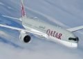 Qatar Airways Cargo Evacuates 147 Elite Horses as Gulf Tensions Escalate