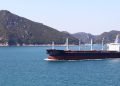 Thirty-six bulk carriers have exited the Strait of Hormuz since the conflict began