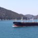 Thirty-six bulk carriers have exited the Strait of Hormuz since the conflict began