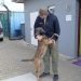 Lufthansa Cargo Deploys Sniffer Dogs to South Africa for Anti-Poaching Mission