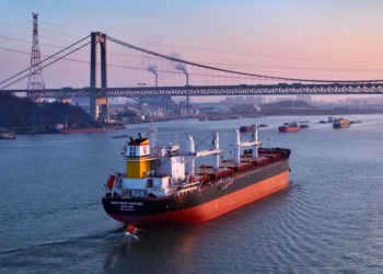 Wah Kwong creates dedicated dry bulk arm to accelerate fleet growth