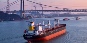 Wah Kwong creates dedicated dry bulk arm to accelerate fleet growth