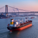 Wah Kwong creates dedicated dry bulk arm to accelerate fleet growth