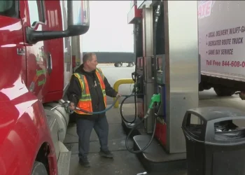 TAPA Warns of New ‘Trojan Driver’ Cargo Theft Scam