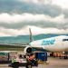 Avianca Cargo expands Quito-Miami service with Amazon Air Cargo capacity