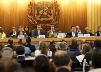 Climate Activists Target IMO Meeting as Net Zero Framework Faces Critical Test