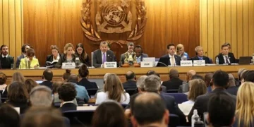 Climate Activists Target IMO Meeting as Net Zero Framework Faces Critical Test