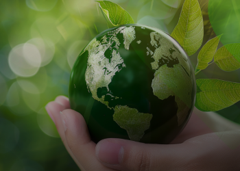 Chapman Freeborn OBC teams up with Freeze Carbon to strengthen emissions action in time-critical logistics