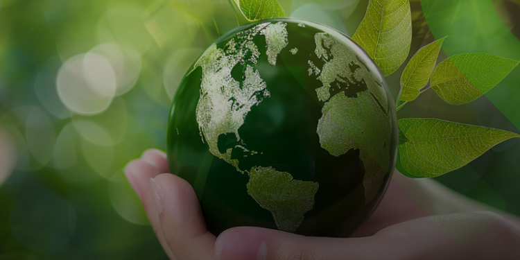 Chapman Freeborn OBC teams up with Freeze Carbon to strengthen emissions action in time-critical logistics