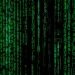 Transport companies may be underestimating the real impact of cyber attacks