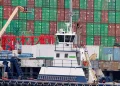 Importers Weigh Legal Action as Trump’s 10% Global Tariff Faces Appeal
