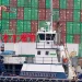 Importers Weigh Legal Action as Trump’s 10% Global Tariff Faces Appeal