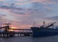 Indonesia plans state-controlled export system for coal and palm oil