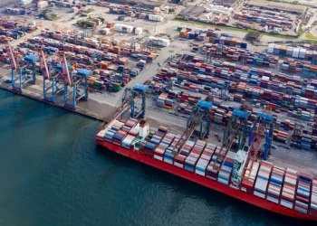 Brazil suspends bidding process for Santos mega terminal