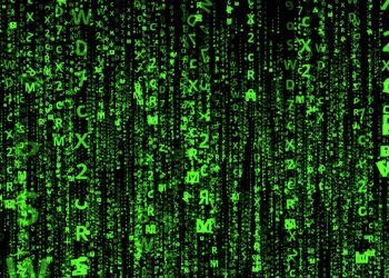 ASM upgrades Sequoia platform as cyber risks rise for freight forwarders
