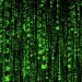 ASM upgrades Sequoia platform as cyber risks rise for freight forwarders