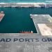 AD Ports makes biggest-ever acquisition with $835m Brazil agri-bulk deal