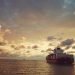 Container spot rates explode as early peak season drives sharp global surge