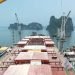 The Elevator Pitch for Third-Party Shipmanagement: Outsourcing Complexity, Not Control