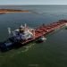 Fortescue commits to ammonia-ready Newcastlemax fleet with CMB.TECH
