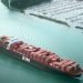 ZIM appoints Chen Lichtenstein as CEO amid pending Hapag-Lloyd acquisition