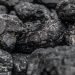 Corb Lund submits anti-coal petition backed by more than 200,000 signatures in Alberta