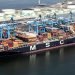 Xeneta: New Crisis Keeps Container Shipping Rates Higher Than Expected
