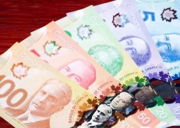 Michael Chong Takes Over Finance File as Conservatives Stick to Recession Narrative