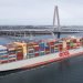 OOCL sees robust rebound across Transpacific routes; second quarter revenue ends higher
