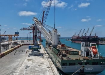DP World Begins Tartous Port Modernisation with Arrival of First Cranes