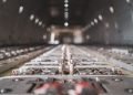 Why Air Cargo’s Pricing Process Is Emerging as a New Target for Cargo Fraud