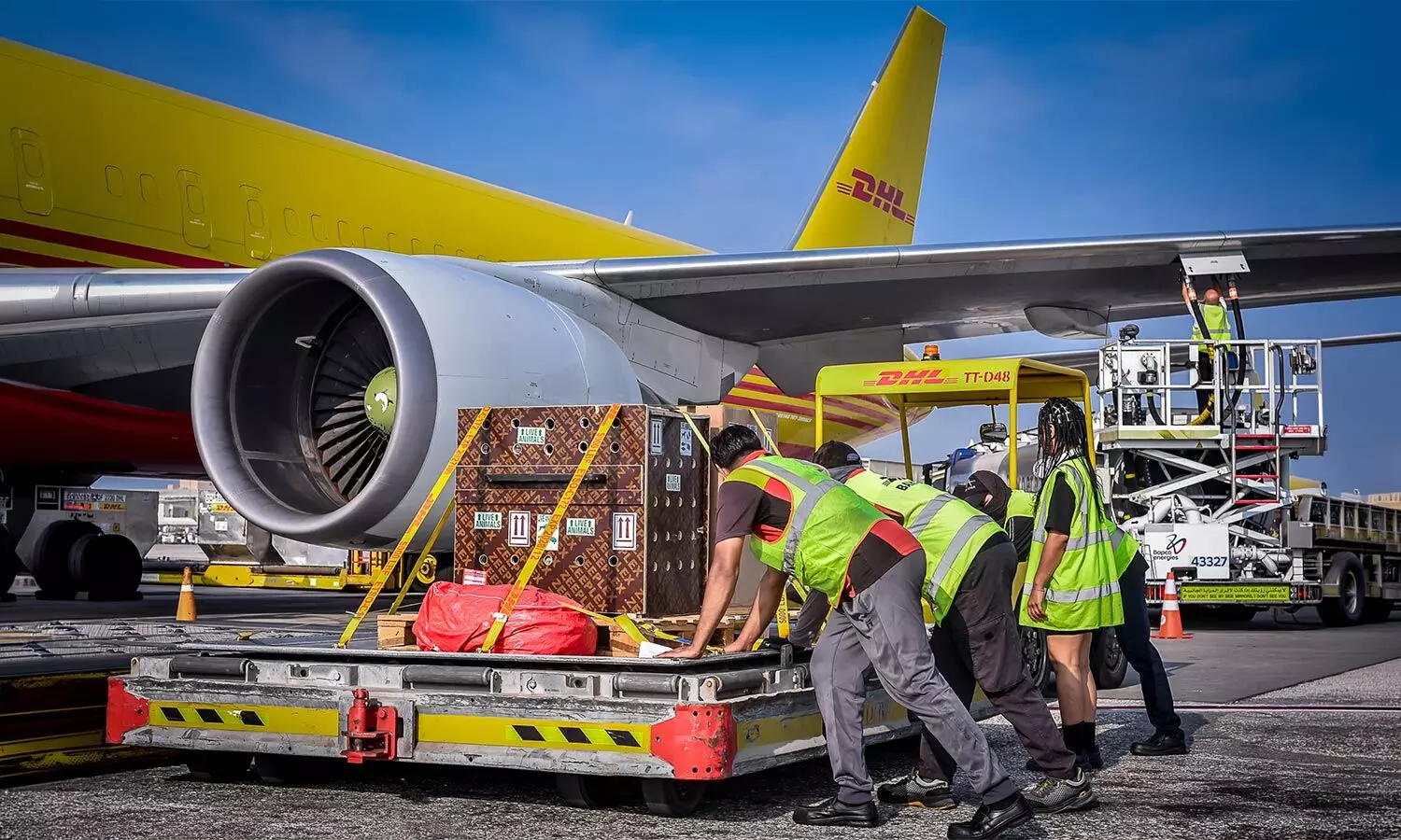 DHL Group ground staff load cargo onto a freighter aircraft