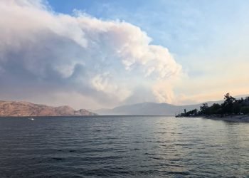 Bald Range Fire Drives B.C. Wildfire Emergency as Thousands Remain Displaced